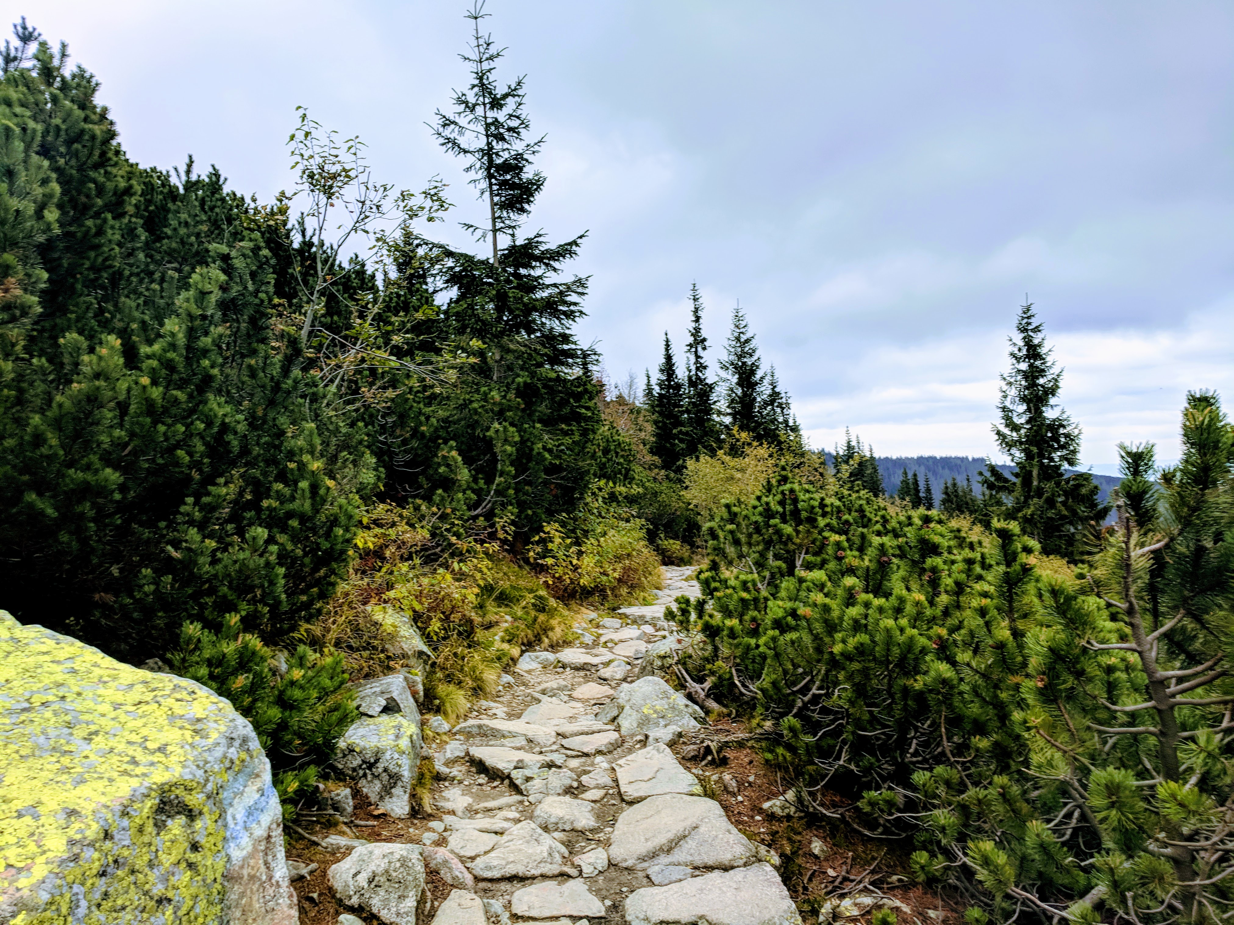 Five Lakes Valley Hiker