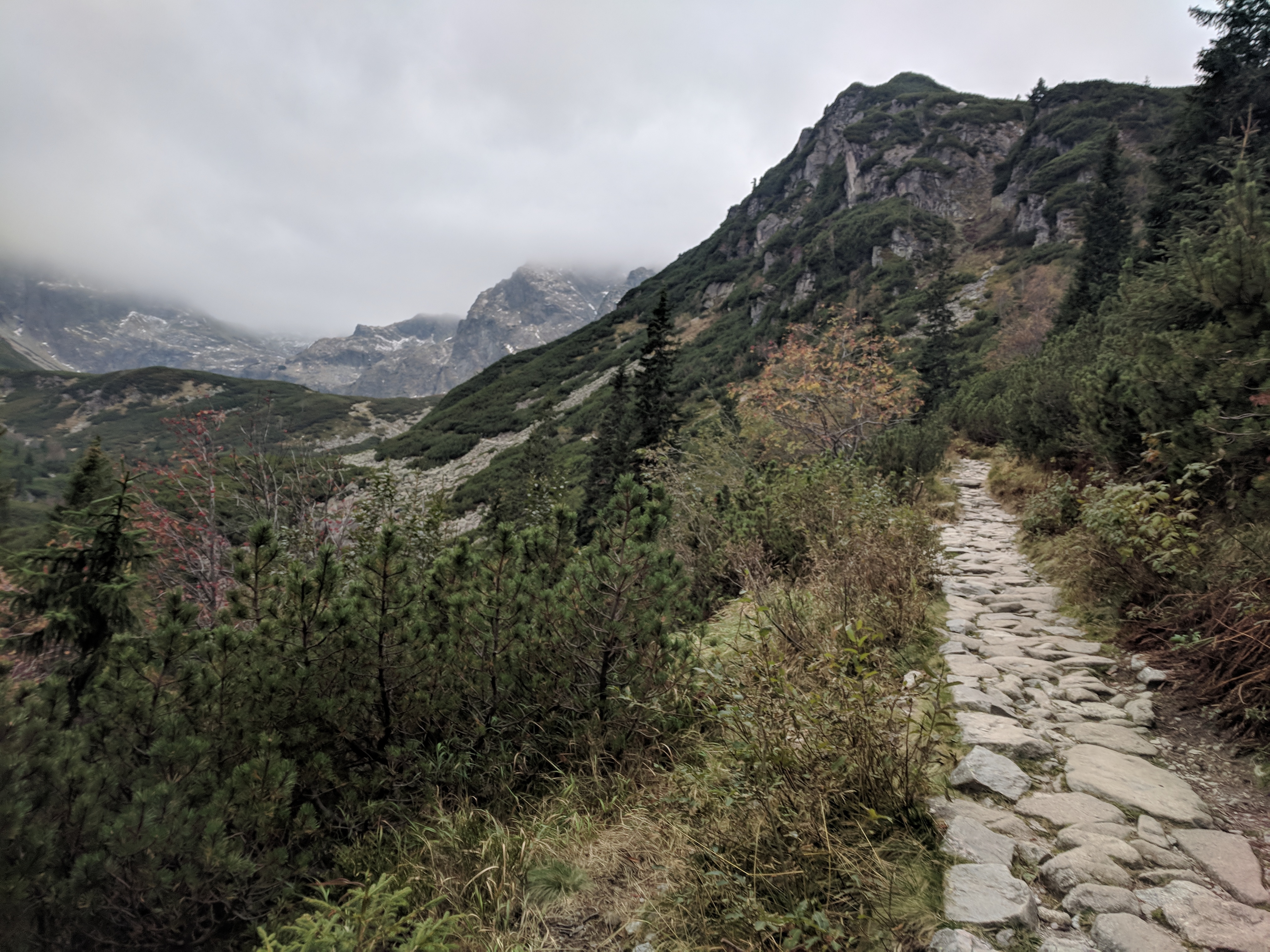 Five Lakes Valley Hiker