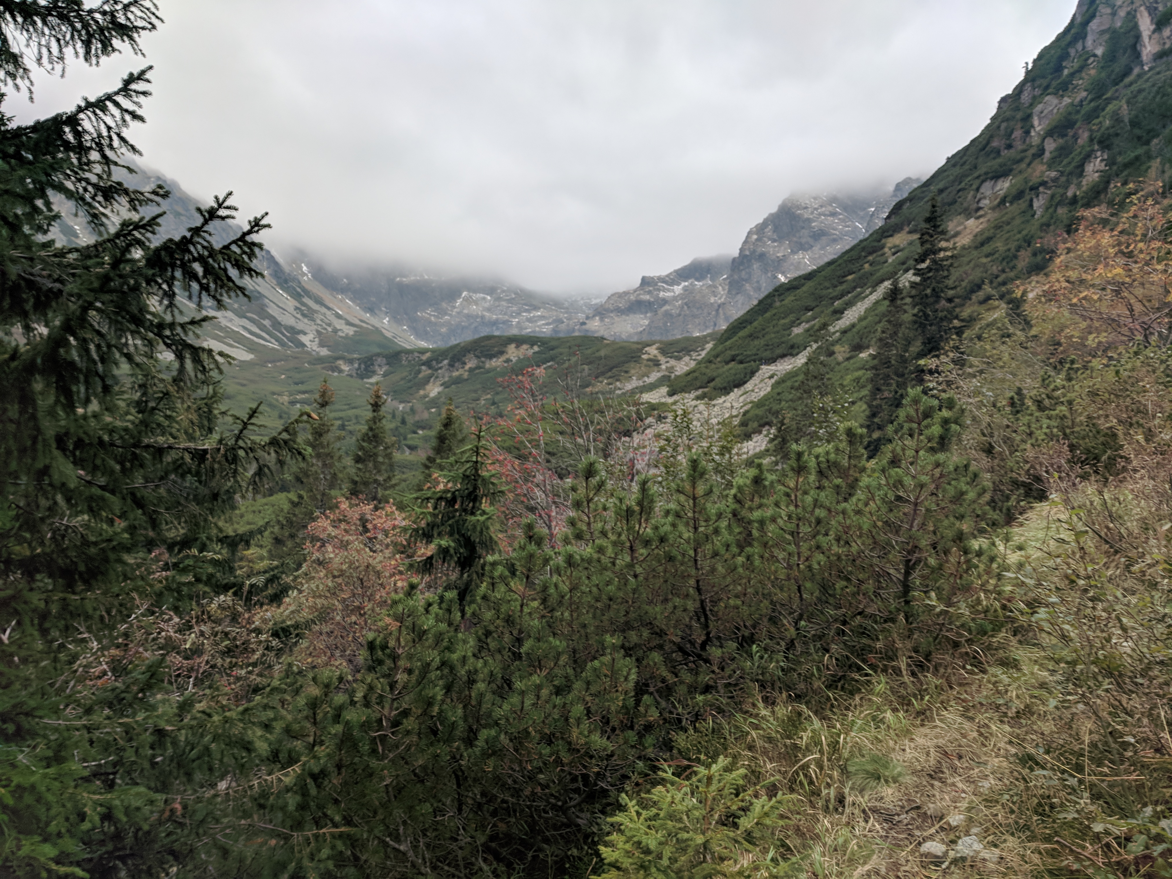 Five Lakes Valley Hiker