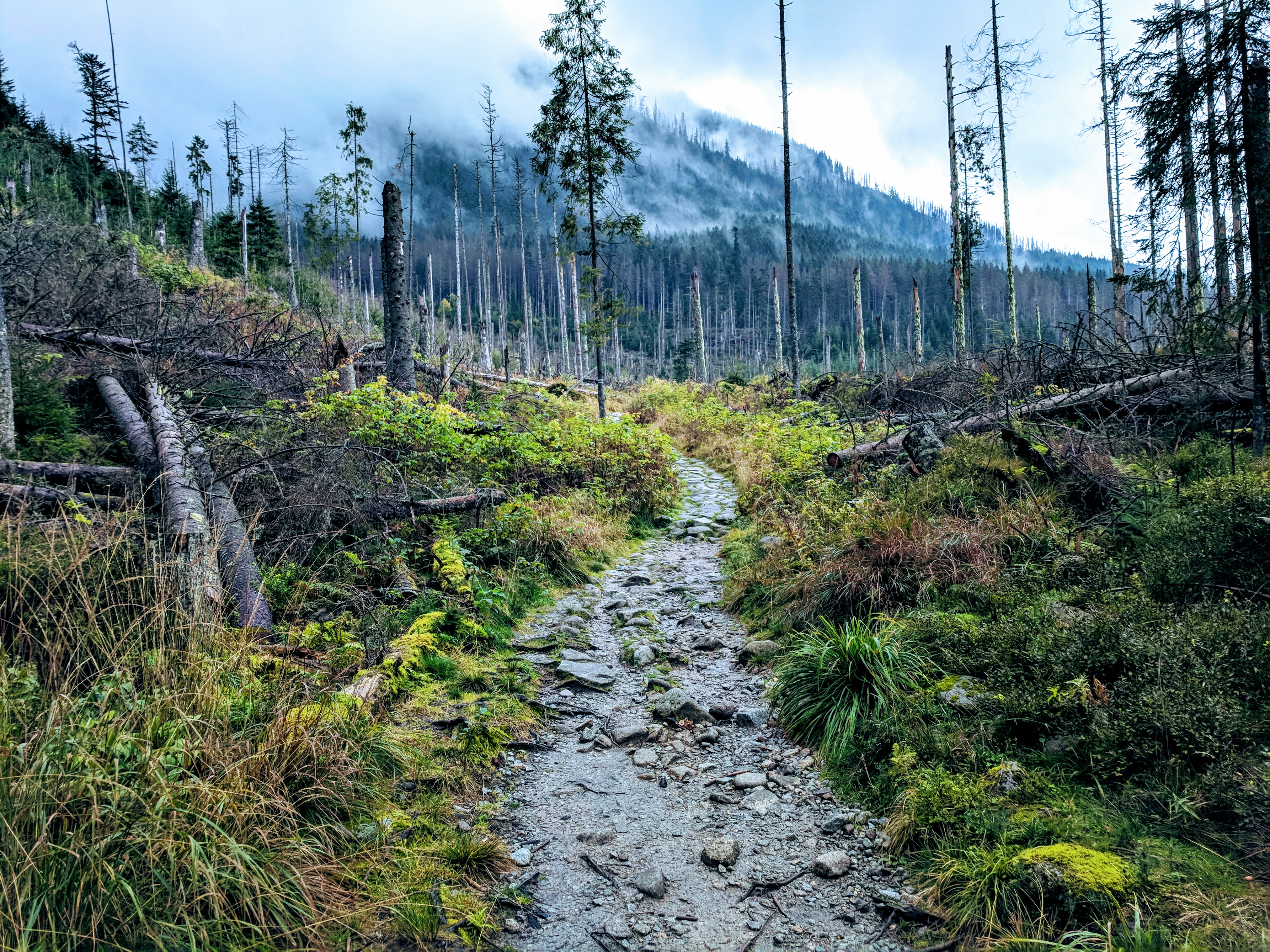 Roztoka Valley on the morning